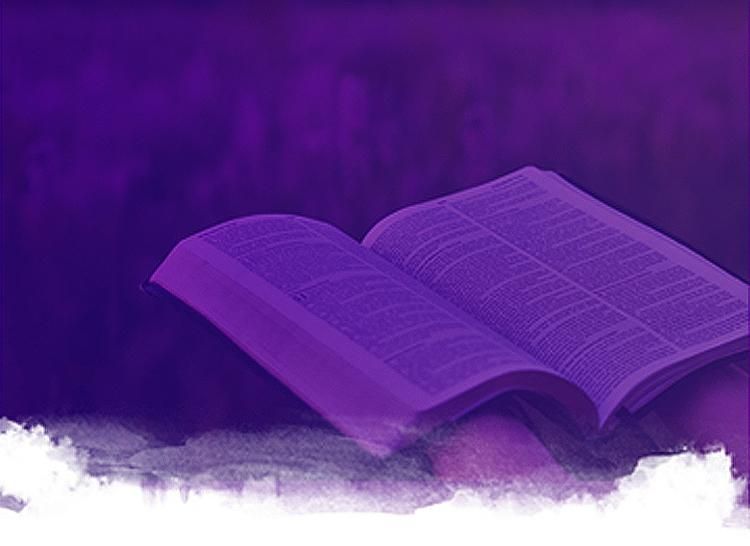 Terms And Conditions