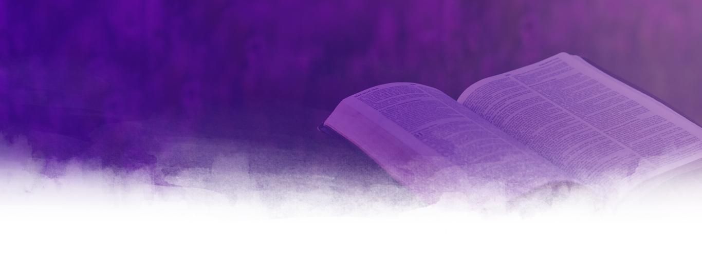 Terms And Conditions