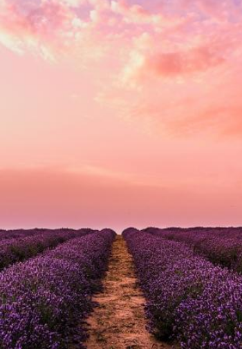 الثراء الروحي والعاطفي والمالي