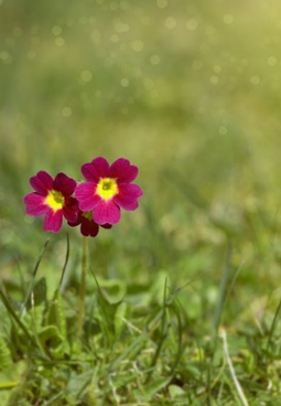 هكذا غيرت حياتي - الألبوم كاملاً