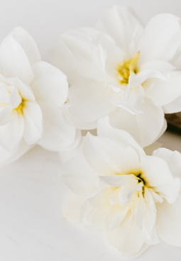 بغير هذا الحب لا تكن - الألبوم كاملاً