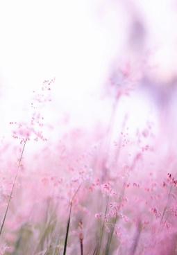  دورة "اكتشفوا السعادة" - الألبوم كاملاً