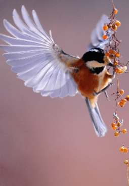 جلسة في ترحيل العلاقات