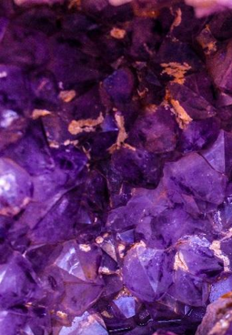 ورشة وضع النية للعام 2019 في البحرين