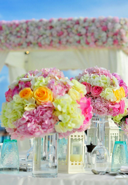 ألبوم الحب - ماستر وليد